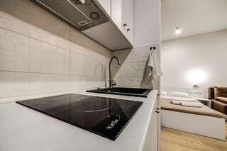 Апартаменты Apartment on Rustaveli Львов-6